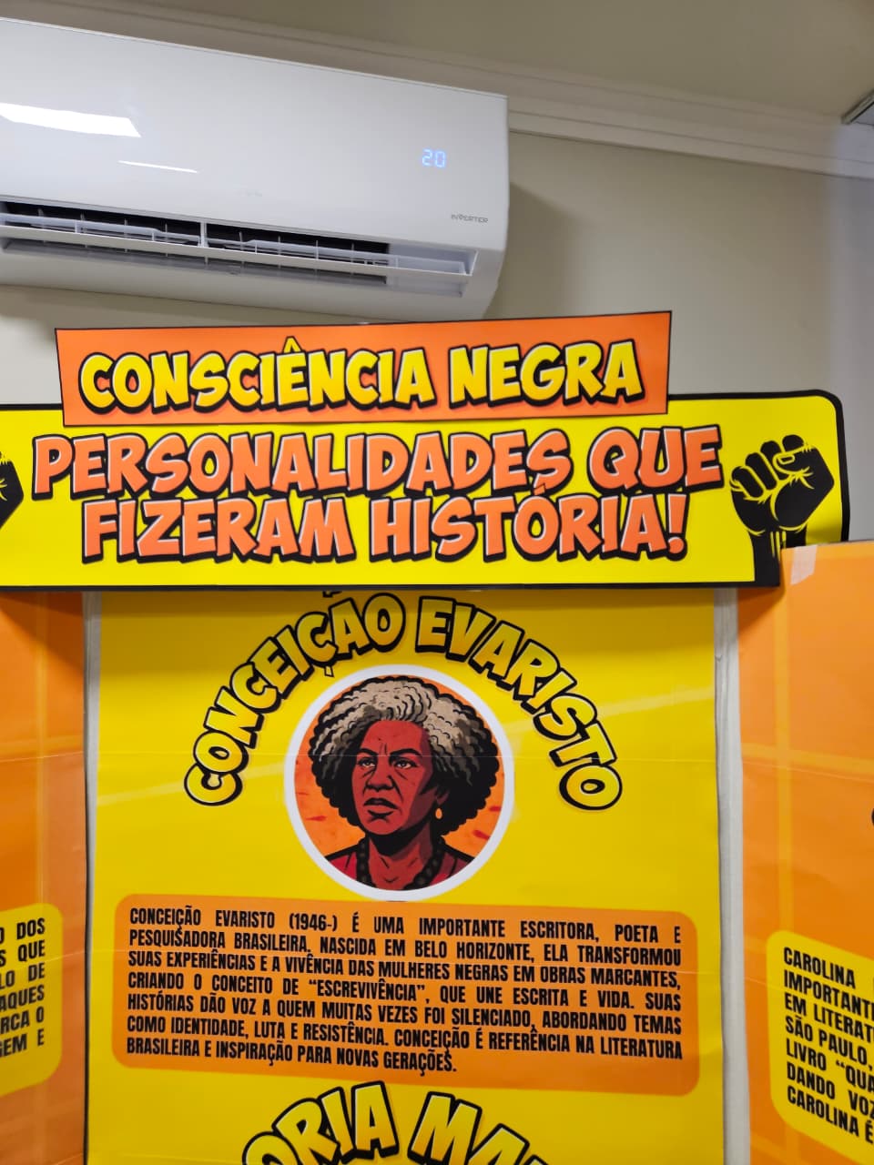 BIOMBO PERSONALIDADES NEGRAS - CONSCIÊNCIA NEGRA - Imagem 2