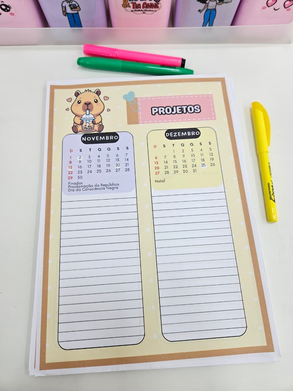 Planner da Professora 2026 - Capivara - Imagem 13