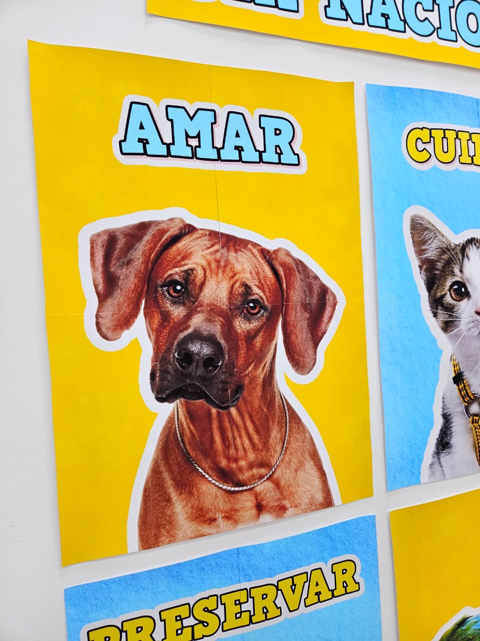 PAINEL DIA NACIONAL DOS ANIMAIS - CARTAZES - Imagem 2