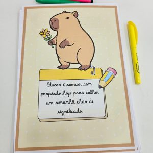 WhatsApp Image 2026-02-01 at 16.26.20